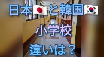 韓国と日本の小学校の違い②：低学年で感じたこと